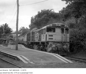 NB01630