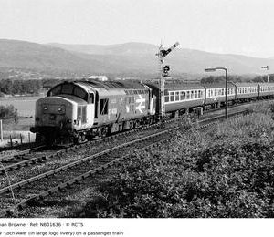 NB01636