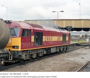 NB01648C