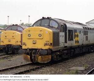 NB01654C