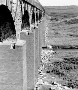 PG02397VF