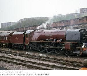RE02842C